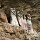 Illustration for article titled Ancient, abandoned Great Wall of Peru ringed an elaborate stone city